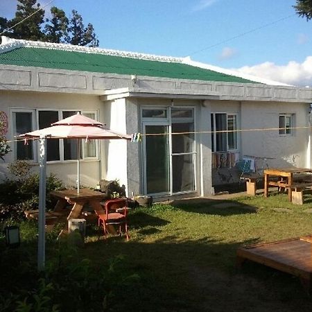 Sheelddi Pension Seogwipo-stad Buitenkant foto