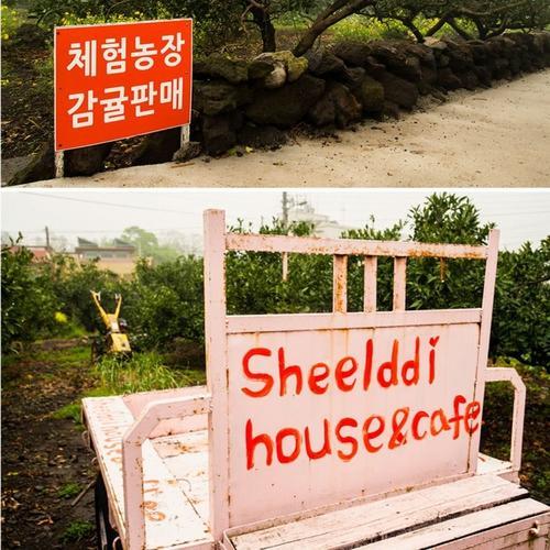 Sheelddi Pension Seogwipo-stad Buitenkant foto